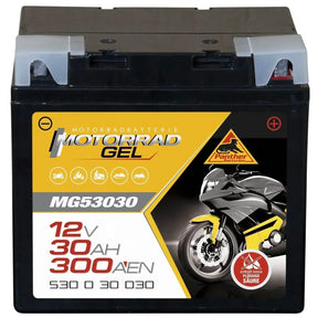 Motorradbatterie Panther GEL 53030 12V 30Ah Front